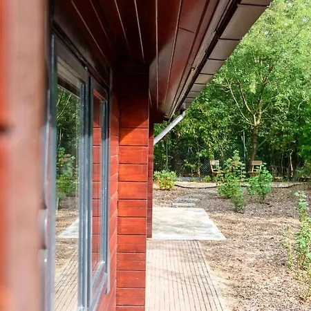 Spacious Wooden With Infra-red Sauna At Veluwe * Putten