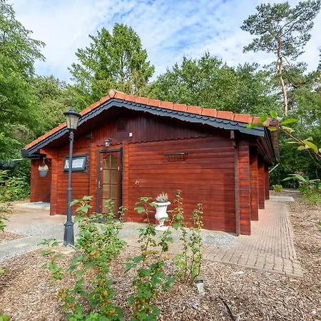 Spacious Wooden With Infra-red Sauna At Veluwe Vakantiehuis