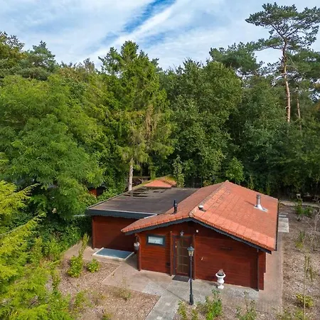 Spacious Wooden With Infra-red Sauna At Veluwe