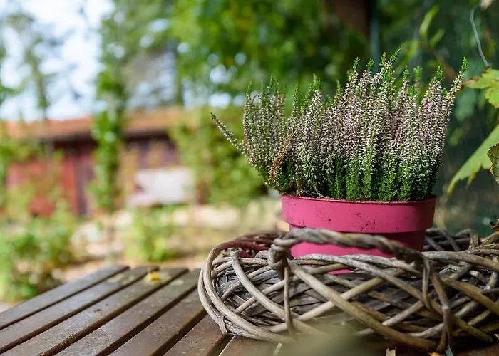 Spacious Wooden With Infra-red Sauna At Veluwe *
