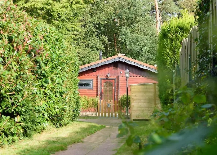 Spacious Wooden With Infra-red Sauna At Veluwe Tatil Evi
