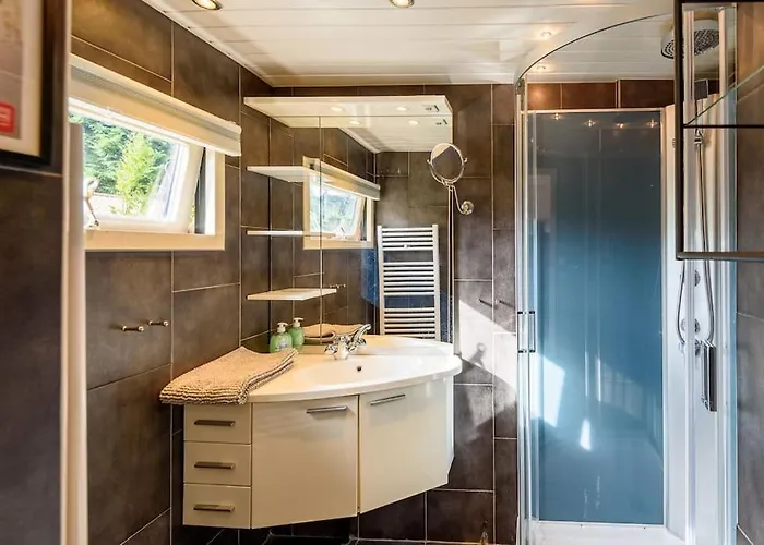 Spacious Wooden With Infra-red Sauna At Veluwe Tatil Evi Putten