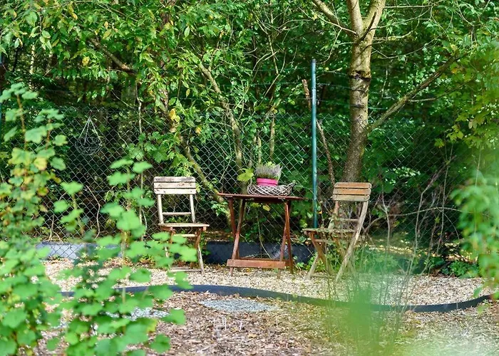 Spacious Wooden With Infra-red Sauna At Veluwe Tatil Evi