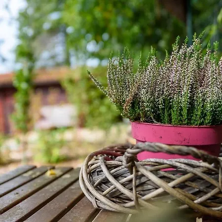 Spacious Wooden With Infra-red Sauna At Veluwe *