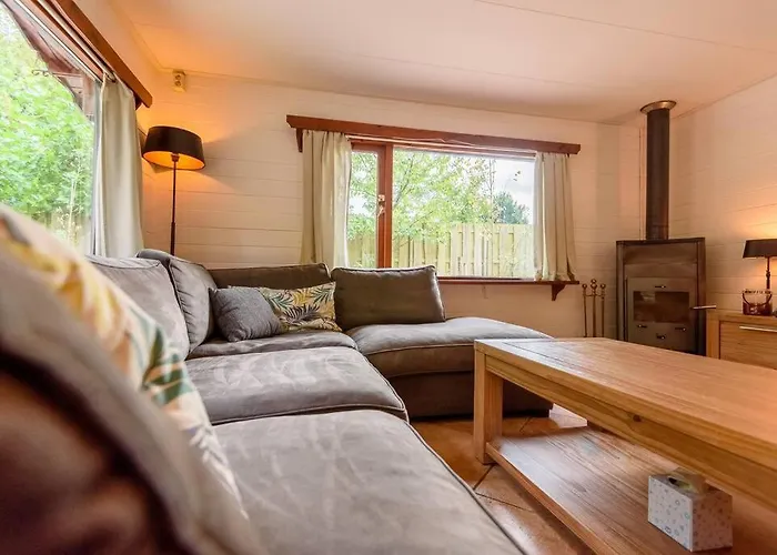 Spacious Wooden With Infra-red Sauna At Veluwe Putten