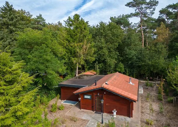 Spacious Wooden With Infra-red Sauna At Veluwe